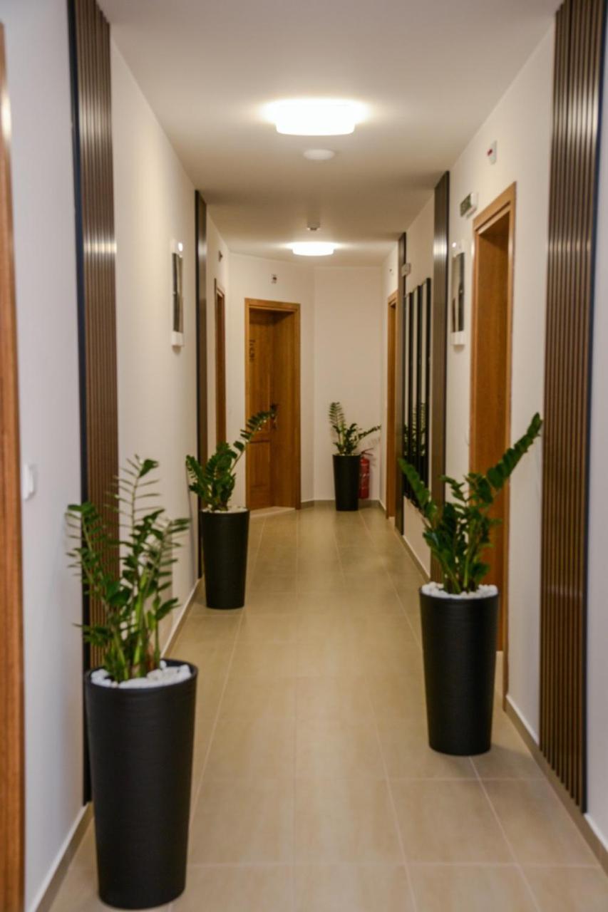 Bačka Palanka Mini Hotel Riverlux Apartments מראה חיצוני תמונה